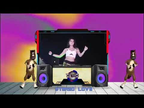 Stereo Love   dJ Nio Remix