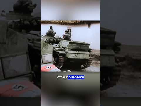 Дизель против бензина ⛽️