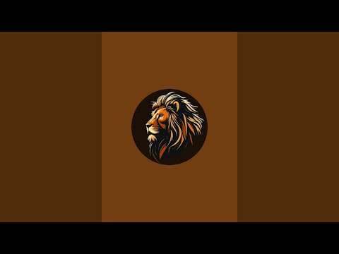 Saifu Shorts is live