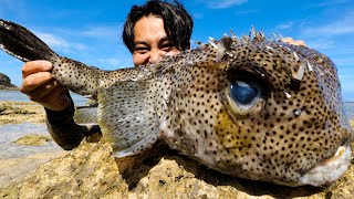 動画サムネイル