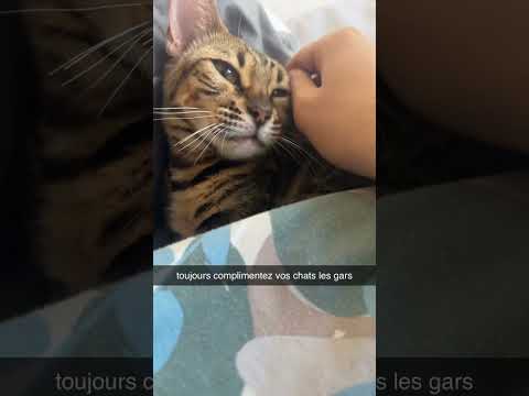 Qui fait ça les gars ? 🤣🤣🤣