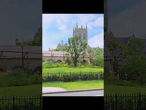 LUNJE 25.4 High-Rise Handlebar 120/160mm Rise 580mm Bar OEM Manufacturer #HighRiseBar #FoldingBike