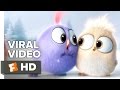 Trailer 7 do filme Angry Birds