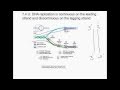 DNA Replication Processes and Concepts