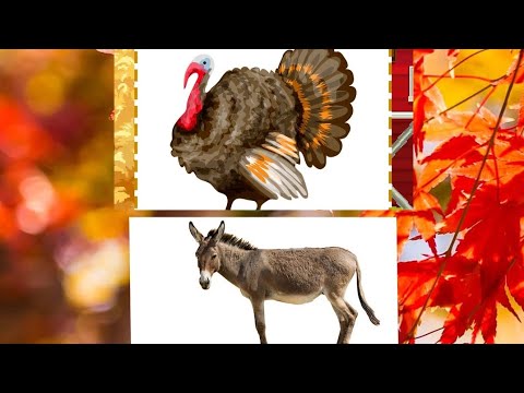 El Pavo y el Burro (Merengue Navideño) 🌲🇩🇴