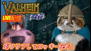 【Valheim】Rocky見つけるまで終わらない配信【土用屋根の日】