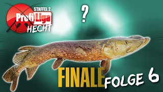 Wer fängt DIESEN Meter-Hecht im Finale? 🤯 Profi Liga Hecht 🐊, Staffel 2, Folge 6