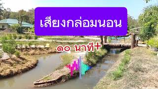 เสียงกล่อมนอนเจื่อยแจ๋วหลับปุ๋ย