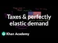 Elasticity and Tax Impact on Flags