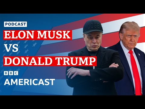 Elon Musk claims Donald Trump is 'in the Epstein files' | BBC News