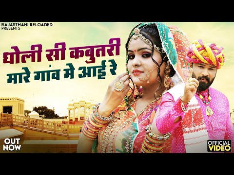 धोली सी कबूतरी मारे गाव आई रे | Dholi Si Kabutri Mare Gav Aayi | New Rajasthani DJ Songs 2024