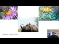 Ecological Relationships and Interactions