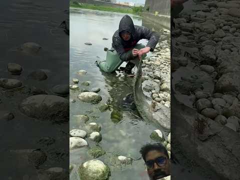 fishing 🎣 hidan #fishing #shortsfeed #trending #tranding #viral #funny #cartoon