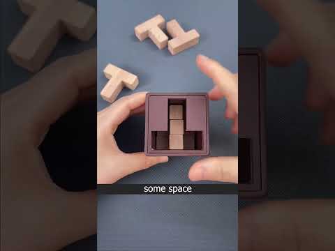 The 6T Puzzle Box: It's Not What You Think 😯 #shorts #viral #puzzle