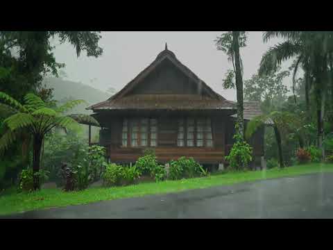 Relax and Unwind With Rain and Thunder | Deep Sleep White Noise for Mindful Meditation