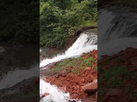 Aaj ham gaye the gaon me❤️