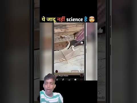 #petshub #roshninandi #jeevansakshi #birdtrend #shortfeed #shorts #viral #tiktok #comedy #youtubesho