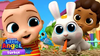 Evcil Hayvanımız Hangisi Olsun? 🐰😸 | Eğlenceli ve Öğretici Çocuk Şarkıları | Little Angel Türkçe