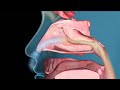 Understanding the Common Cold and Respiratory System