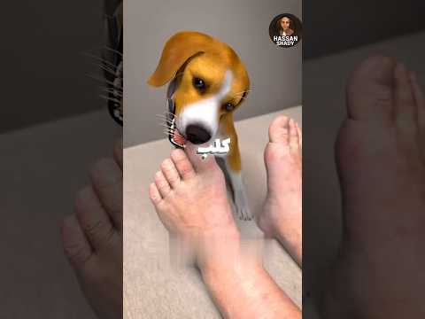 كلب يأكل إصبع صاحبه المصاب بالسرطان 😱