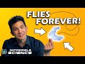 Paper Airplane Flight Mechanics