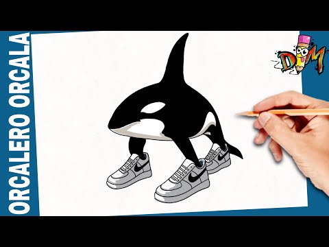 Como Dibujar a ORCALERO ORCALA | Italian Brainrot | paso a paso | how to draw Orcalero Orcala