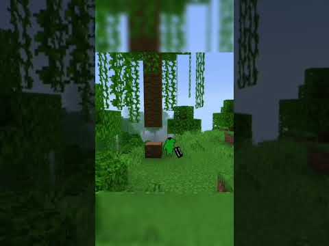 New animation! Please don’t flop #mexicanfood #memes #funnygames #minecraft #amnewbutnottheleast