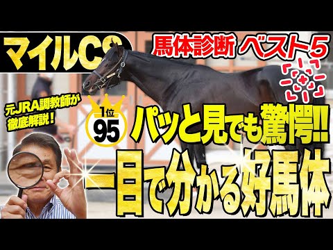 【マイルCS2025】中村均元調教師が馬体診断ベスト5を発表 先週のレガレイラと同じ?『あれ、いい馬がいるな』一目で気づいた好馬体の1頭とは?《東スポ競馬》
