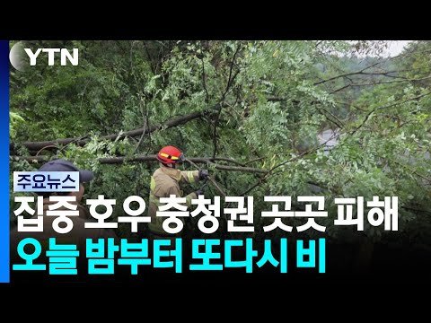 집중 호우에 충청권 곳곳 피해...오늘 밤부터 또다시 비 / YTN