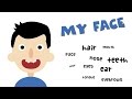 Facial Features and Their Functions