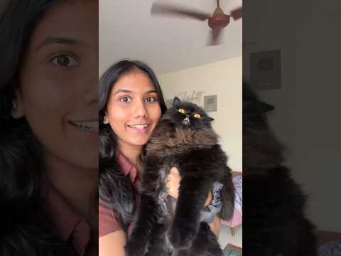 4 ways to know if your cats love you or not 🥹❤️ #cat #feline #cuteanimal