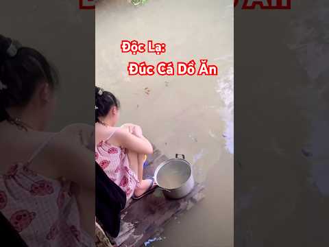 Độc lạ: Đúc Cá Dồ ăn #docla #doclabinhduong #doclavietnam