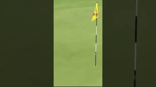 Tiger Woods Holing Out at The Open Championship #golf #shorts