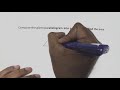 Area and Properties of Parallelograms