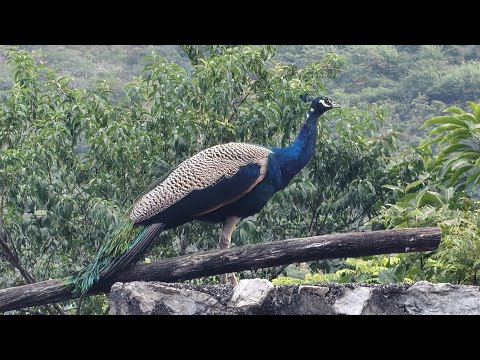 Welcome in my 365th support Live Strem || Connect 🔄 India🇮🇳 Connect 🔄 Globally 🌍