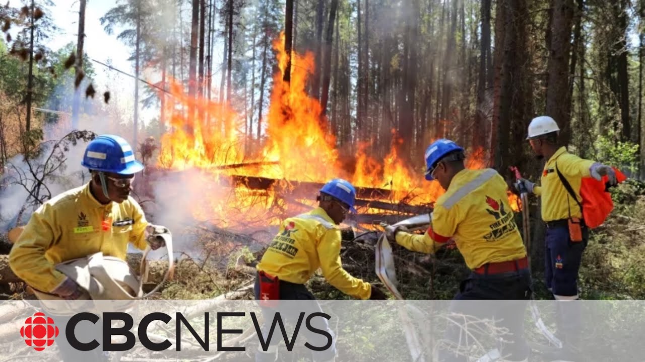 This Wildfire Season so Far is Canada’s Worst Ever Recorded