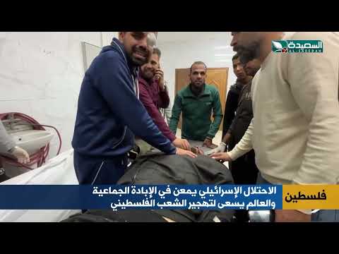 قناة السعيدة الفضائية