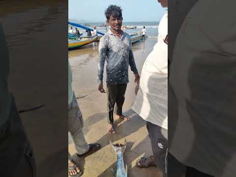 best tasty fish #fishing #hunting #fish #ytshorts #pudimadaka #localboynaveen