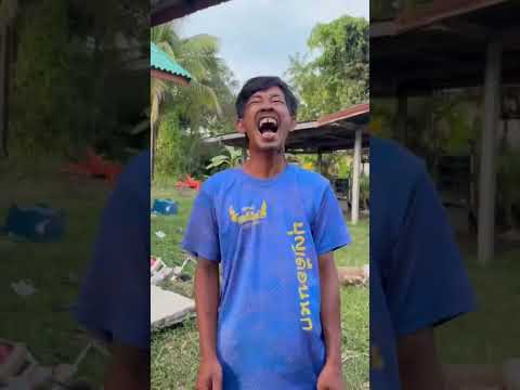 จะขี่หลังกันไปไหน #funny #comedy #funnyvideos #animals #cow #ตลกขําๆ
