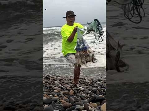 Un solo atarrayazo bastó: mira la gran sorpresa que el mar guardaba para estos pescadores