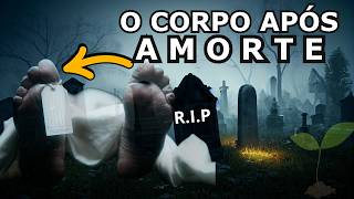 O QUE ACONTECE COM O SEU CORPO APÓS A SUA MORTE? O CÉREBRO CONTINUA FUNCIONANDO POR QUANTO TEMPO?