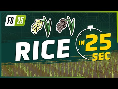 Rice in 25 Seconds | Farming Simulator 25