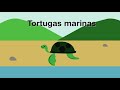 Explorando la Flora y Fauna de las Islas Galápagos