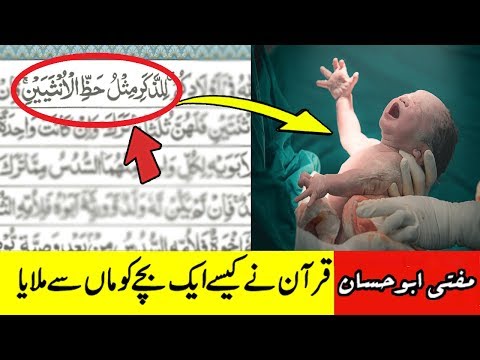American Doctor Quran ka Mojza Dekh Ker Musalman Hogya - Quran aur DNA Test - قرآنی معجزہ
