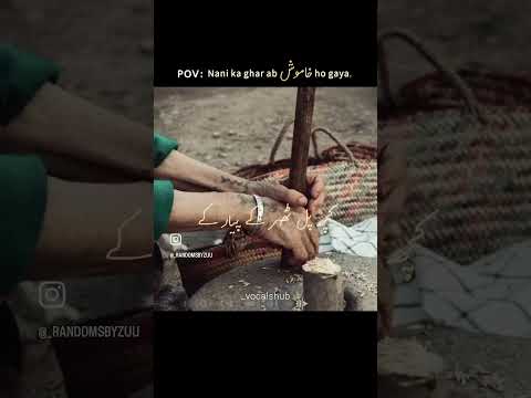 Nani❤️🩹 #myfunkybeats #nani #grandmother #love #life #subscribe #explore #viral #viralvideo