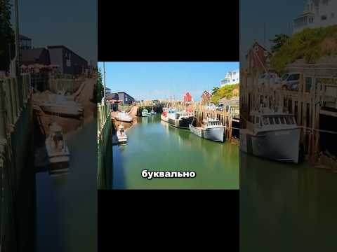 Если вы увидите что вода уходит от берега то лучше покиньте пляж
