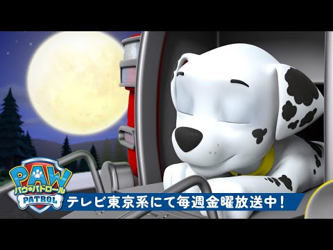 パウ・パトロール | パウ・パトロール レスキュー：健康的なおやすみ習慣 90分😴 | テレビ東京系にて放送中