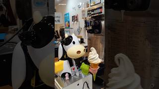 This cow feeds ice cream for free 🐄 🍦😍