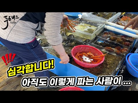 [속초 동명항] 관광객 호구 만들기? 진짜 너무한거 아닌가요!!!