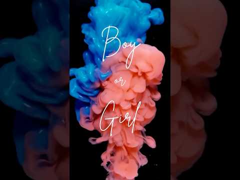 Boy or Girl? Guessing & Revealing Our Baby’s Gender! 🎀💙🤰